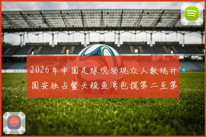 2026年中国足球现场观众人数统计国安独占鳌头梭鱼湾包揽第二至第七位