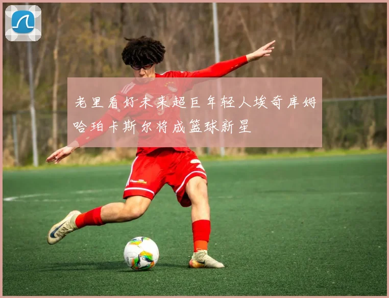老里看好未来超巨年轻人埃奇库姆哈珀卡斯尔将成篮球新星
