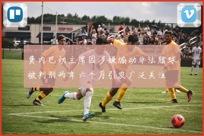 费内巴切主席因涉嫌煽动非法赌球被判刑两年六个月引发广泛关注